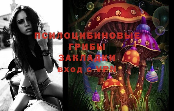 mdpv Белокуриха