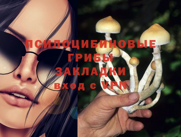 spice Беломорск