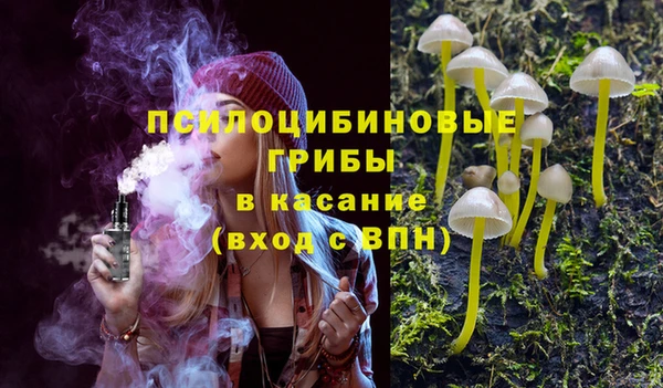 spice Беломорск