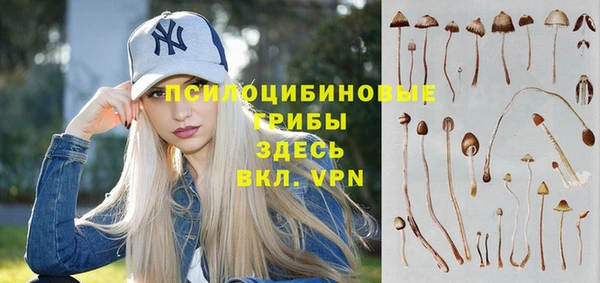 spice Беломорск