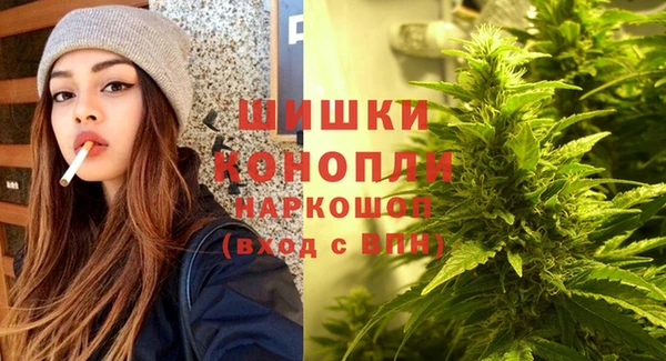 spice Беломорск