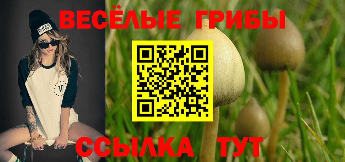 Псилоцибиновые грибы Psilocybine cubensis Луховицы
