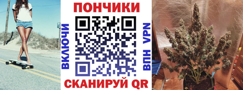 где купить наркотик  Луховицы  Шишки марихуана AK-47 